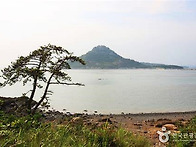 2025년 5월 23일 전남 신안 팔금 선학산 ..