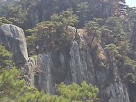 조령산 절골 1편