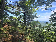 바랑산 월성봉