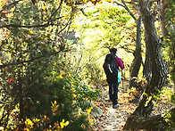 사패산과 도봉산의 푸른 ..