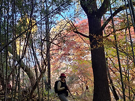 25.11.15 강천산 단푸웅