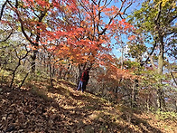 조령산^^