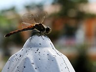 경각심