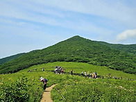 곰배령
