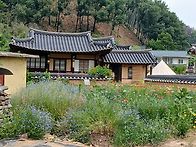 6월14일 청송 송..