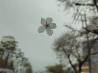 제310차 계룡산 산행 신청..