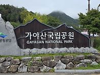 가야산(김성준대장..