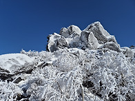 (2/13) 덕유산 환상의 눈..