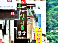 DMZ 강원 화천 여행 후기..