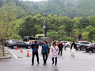 5월3일(토) 홍천 산나물축..