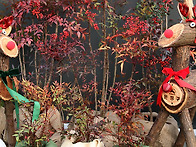 12월5일 생일 축하 모임 ..