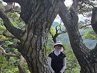 31차 동대산