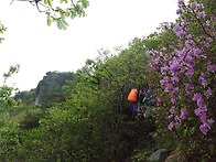 보성제암산~사자산