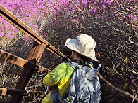 거제 대금산 꽃산행