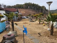 종려나무 도착했네요 ^^
