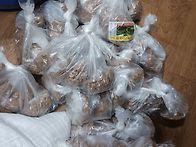 청국장 완판 하는재미