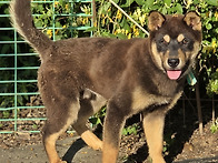 유정란 빼긴 경탄(동영상)