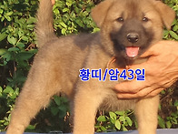 경수 손녀