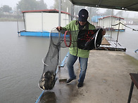 가을비가 와도!