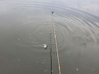 최적의조건속에 마리수의 ..