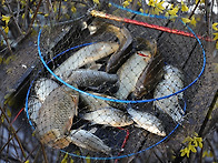 4월을 기대해본다..