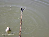 안면도 근처 아담한곳 탐색