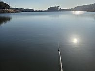 때이른 노지에서