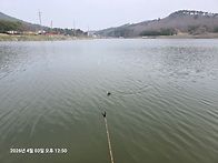 개체수가 많은곳탐색