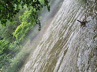 2022년6월30일강원도내면솔..