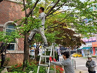 성당 화단 전지 작업