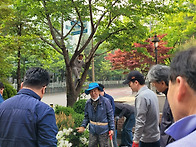 성당 화단 전지 작업