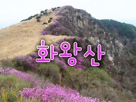 2026년 화왕산 진..