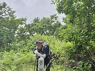 영월 응봉산산행