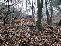 백동산악회 2025년 12월..