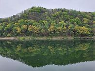 비슬산 참꽃산행