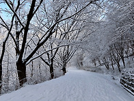 계족 눈산행