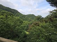 토요라이딩