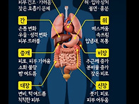 장기기능과 연결된 수족과 귀