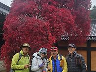 10/25.오대산단풍 선재길 ..