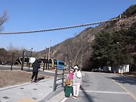 26년1월31일 영동곳감축제..