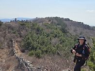 3월 정기산행 "부..