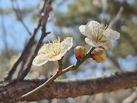 0314 부산 금정산..