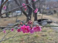 0314 부산 금정산..