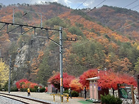 11월 28일 정기도보 - 승부역 ~ 분천역 산..