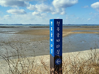 2월 22일 정기도보는 보령 천북굴따라길 갑..