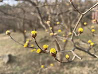 RE : 2026.03.28 3월 정기도보 - 이천 ..