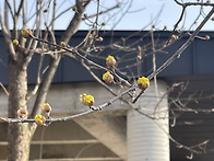 RE : 2026.03.28 3월 정기도보 - 이천 ..