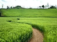 동문회_고창 동문탐방6 _..