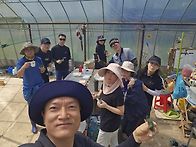 남초농장_5월17일