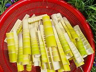 5월달 보름간만 수확하여 ..